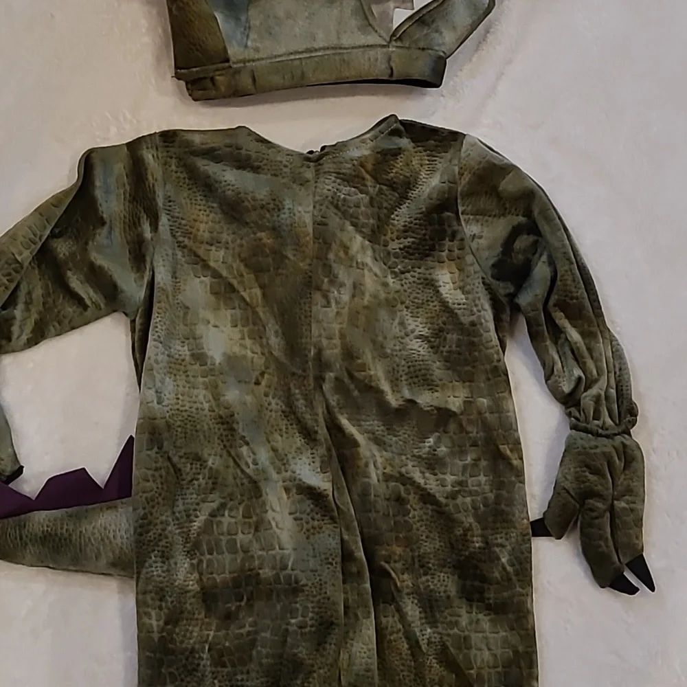 Dinosaur Or Dragon Costume Child XS 4/6?